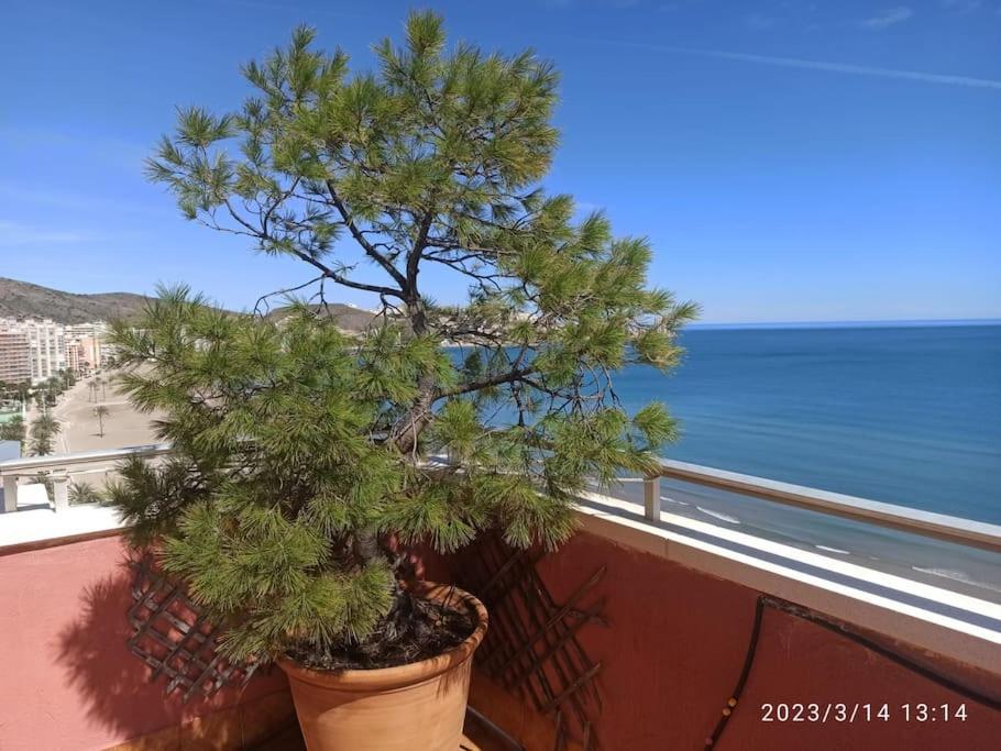 Espectacular Terraza Y Vistas En 1A Linea De Playa Cullera Exterior foto