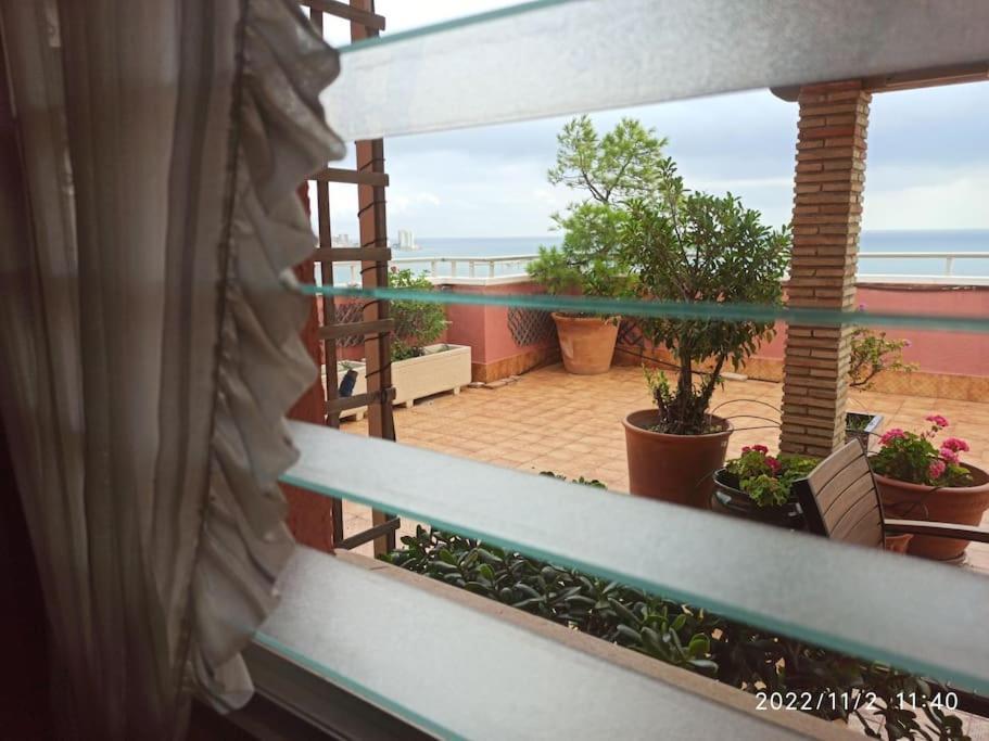 Espectacular Terraza Y Vistas En 1A Linea De Playa Cullera Exterior foto